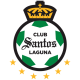 Santos Santos